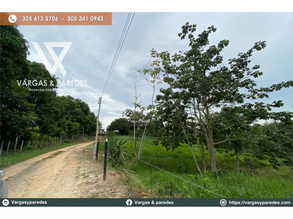 FINCA DE 19 HECTAREAS EN VENTA GUACHARACAL - SAN CARLOS , CORDOBA. — foto 3