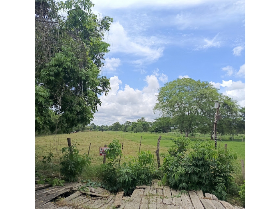 FINCA VIA AL CERRITO, MONTERIA — foto 5
