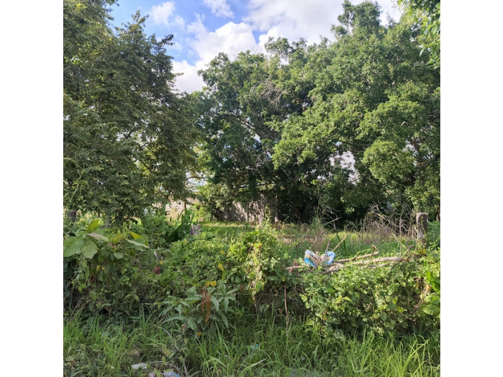 LOTE BARRIO NUEVO BOSQUE SECTOR MOCARI VENTA — foto 4