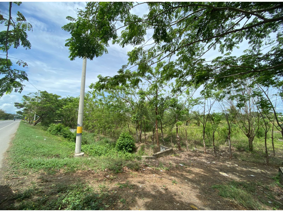 LOTE EN VENTA SECTOR NORTE POR LA VARIANTE MONTERÍA CÓRDOBA — foto 3