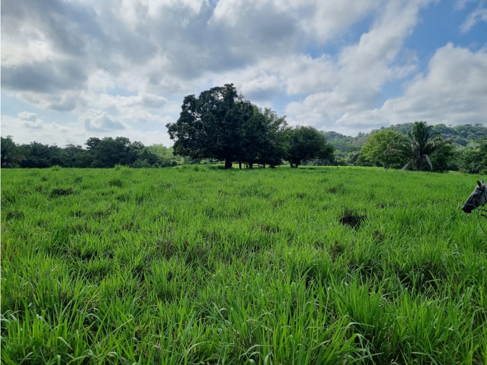 FINCA EN VENTA CIENAGA DE ORO - 4
