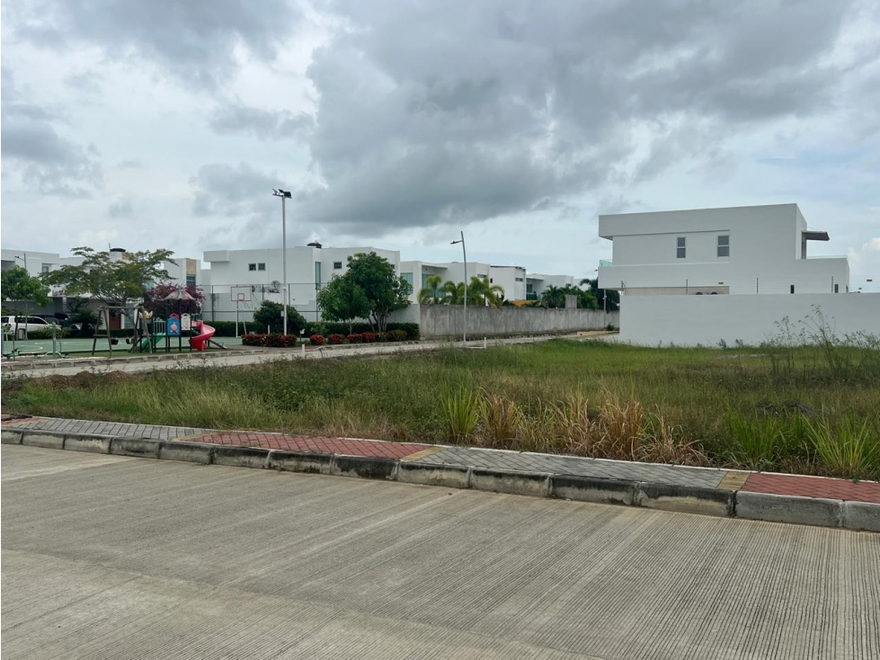 LOTE EN VENTA UNIDAD CERRADA NORTE PRADOS DE PICACHO- MONTERIA — foto 5