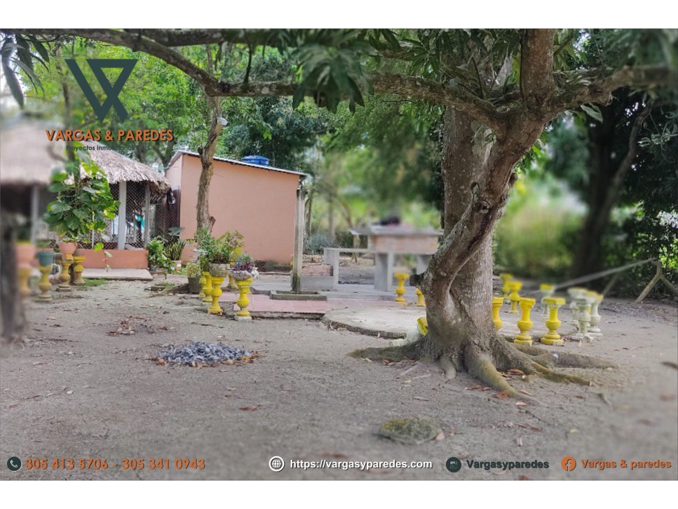 FINCA DE 21164M - LA CEIBITA- CERETE- CORDOBA - 6