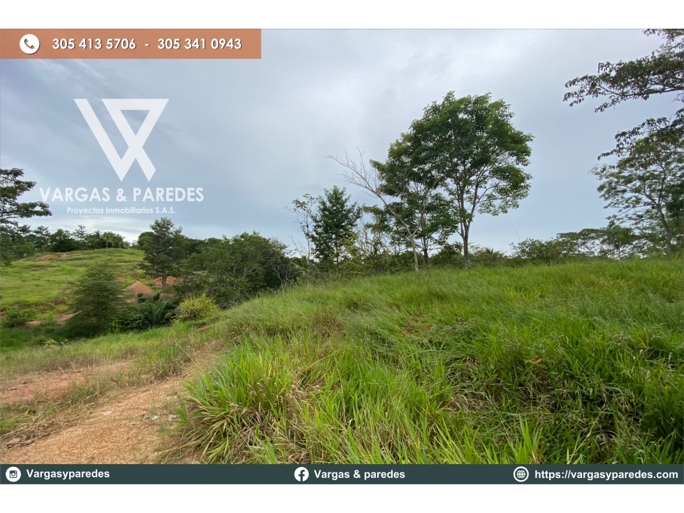 FINCA DE 19 HECTAREAS EN VENTA GUACHARACAL - SAN CARLOS , CORDOBA. — foto 4