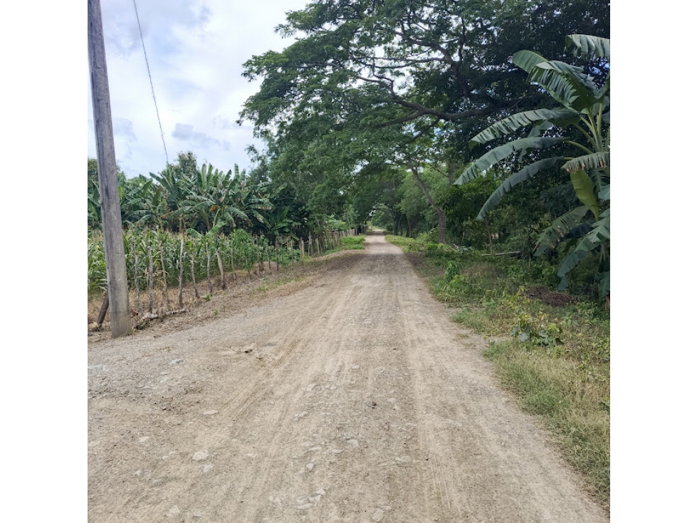 FINCA VIA AL CERRITO, MONTERIA — foto 6