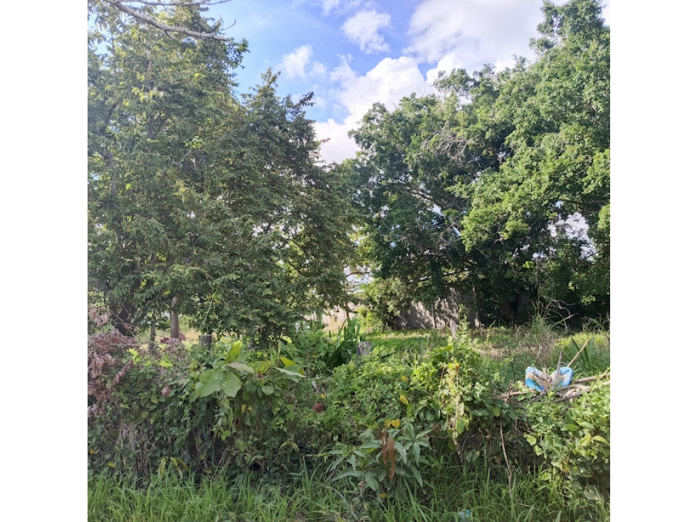 LOTE BARRIO NUEVO BOSQUE SECTOR MOCARI VENTA — foto 5