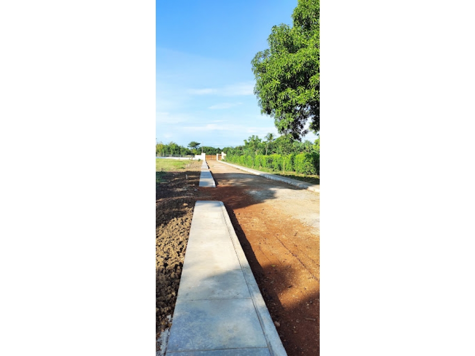 LOTE CAMPESTRE CORREGIMIENTO EL SABANAL, MONTERIA CORDOBA — foto 2