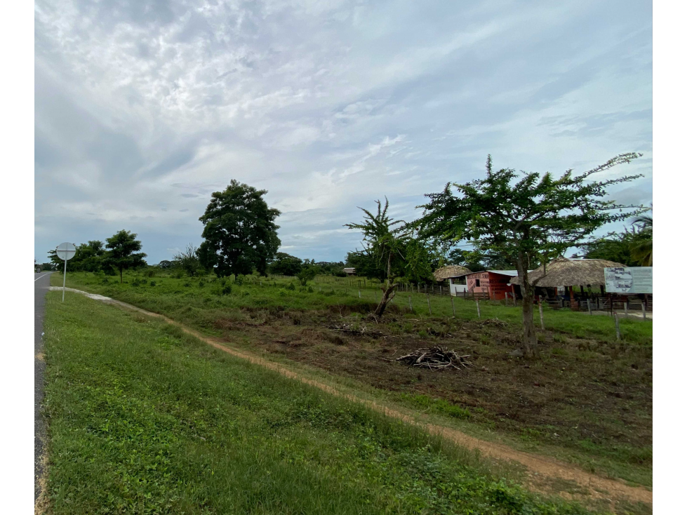 TERRENO DE 8 HECTAREAS EN VENTA KM 15 VIA SAN CARLOS, CORDOBA. — foto 5