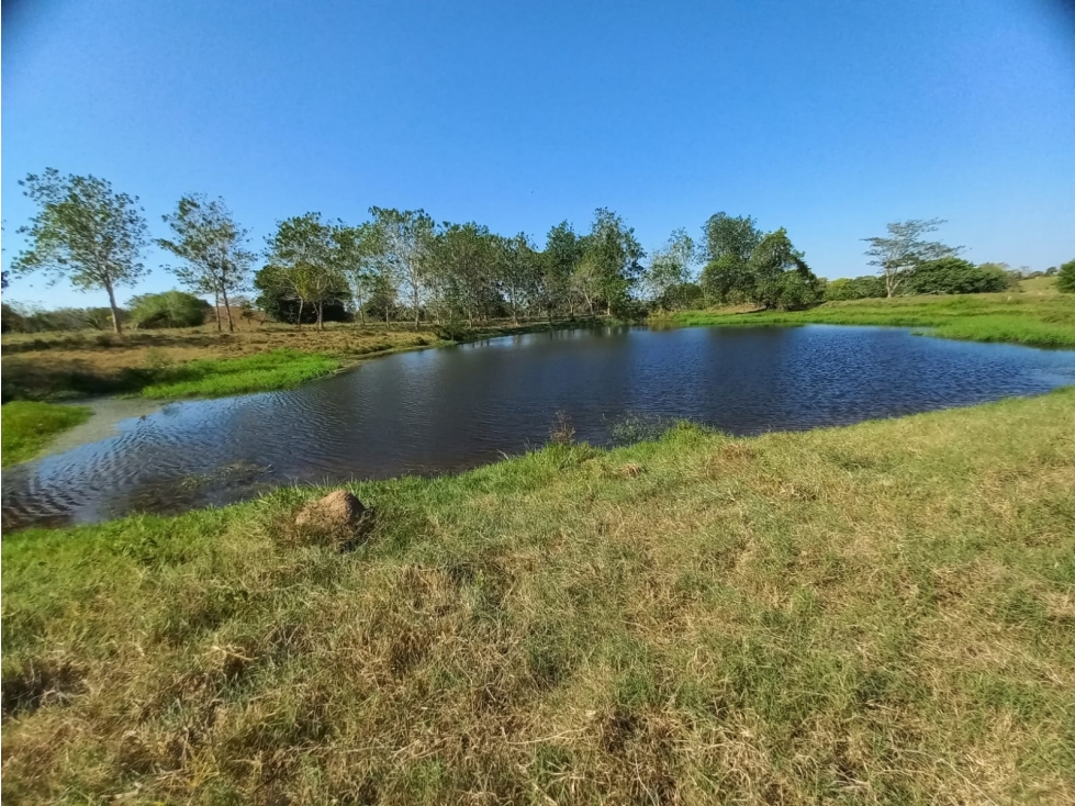 FINCA EN VENTA CIENAGA DE ORO - 5