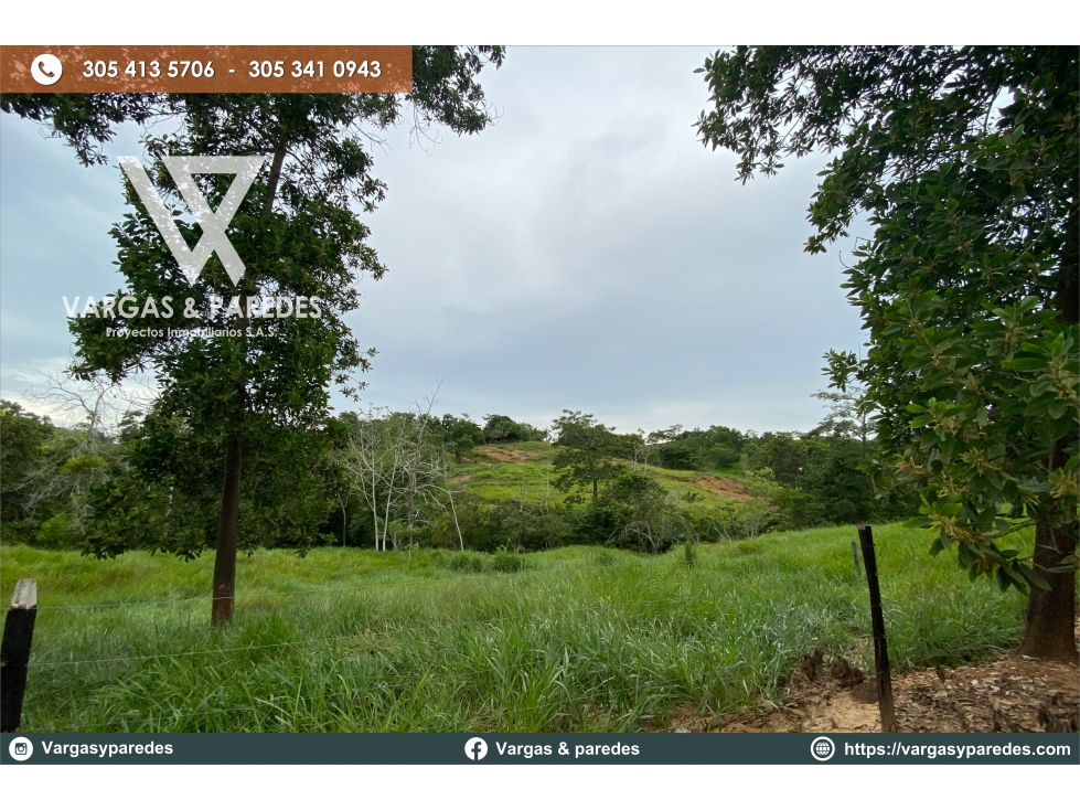 FINCA DE 19 HECTAREAS EN VENTA GUACHARACAL - SAN CARLOS , CORDOBA. — foto 5