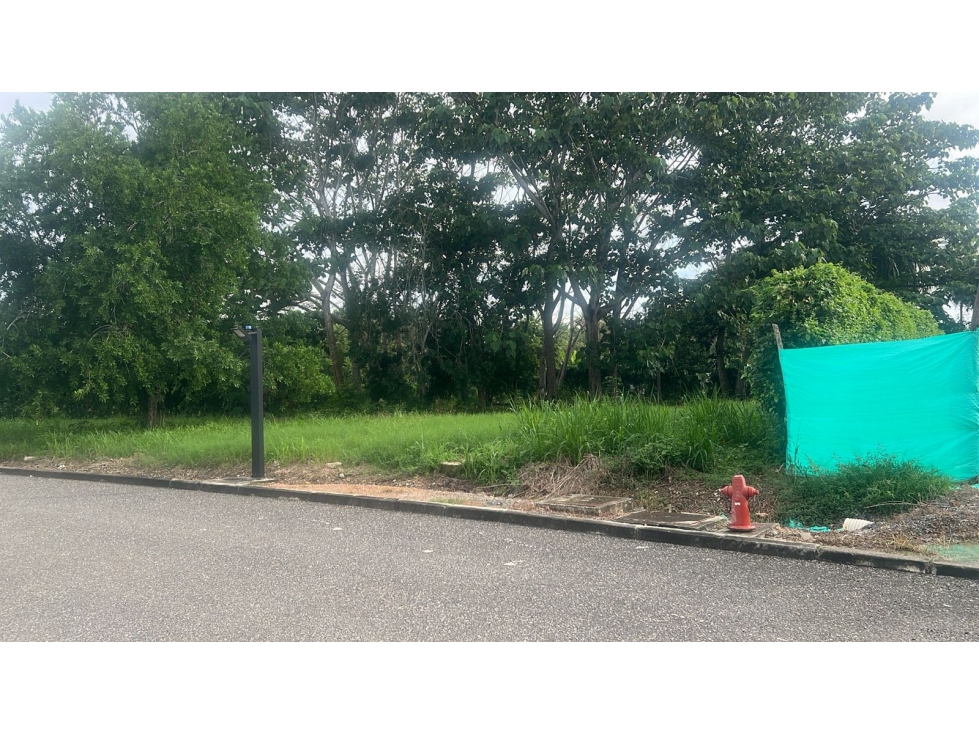 LOTE CONJUNTO CAMPESTRE BALMORAL (MONTERIA) — foto 5