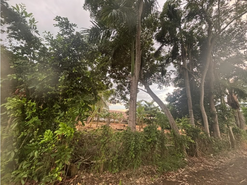 LOTE EN VENTA EL FARO - 6