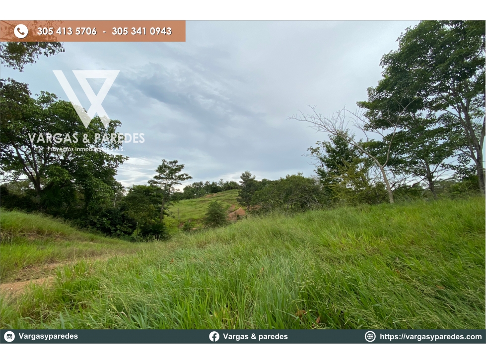 FINCA DE 19 HECTAREAS EN VENTA GUACHARACAL - SAN CARLOS , CORDOBA. — foto 6