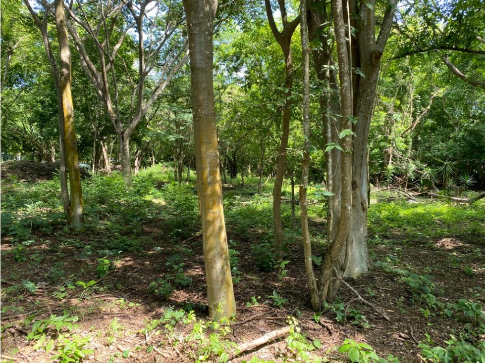 ALEROS DEL COUNTRY LOTE EN VENTA EN ZONA NORTE CARTAGENA DE INDIAS — foto 2