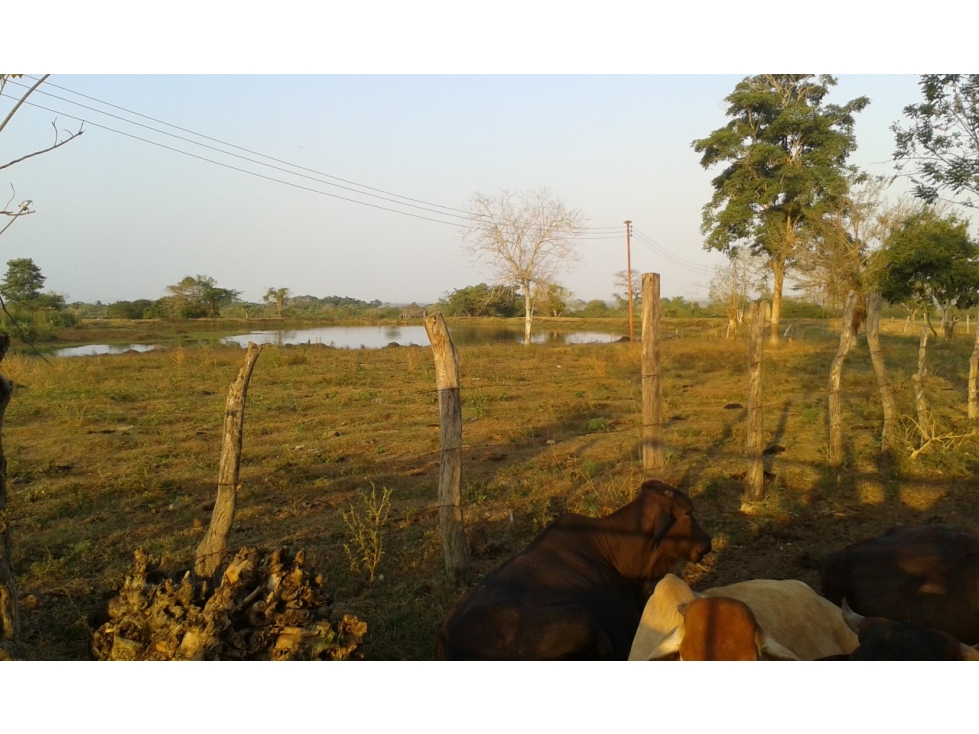 MAHATES CASA FINCA EN VENTA CARTAGENA DE INDIAS BOLIVAR - 3