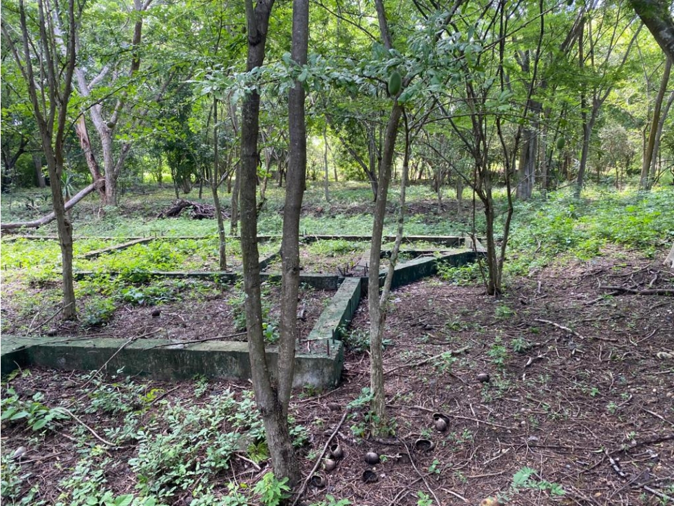 ALEROS DEL COUNTRY LOTE EN VENTA EN ZONA NORTE CARTAGENA DE INDIAS — foto 4