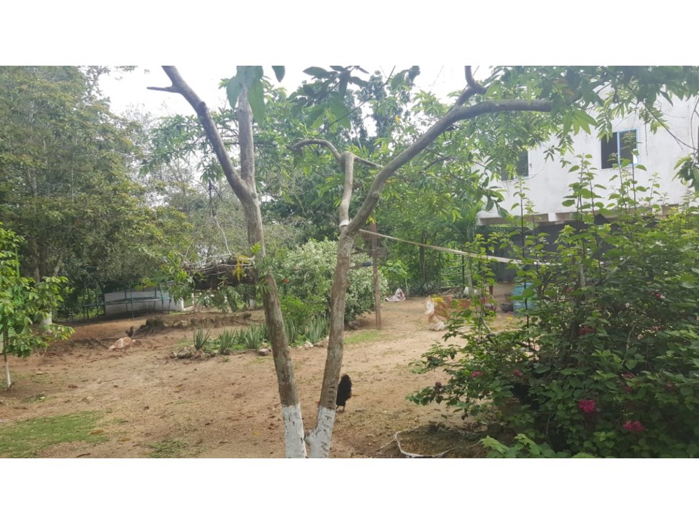 FINCA TURBACO - CAÑAVERAL CARTAGENA DE INDIAS - 5