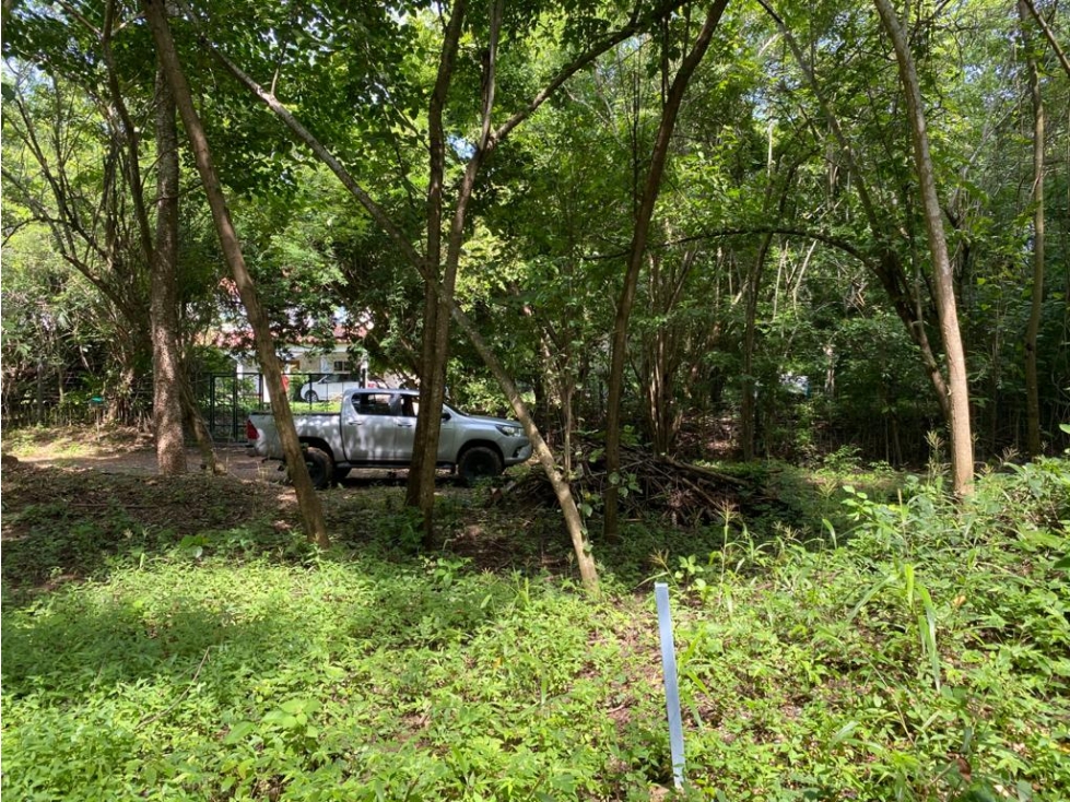 ALEROS DEL COUNTRY LOTE EN VENTA EN ZONA NORTE CARTAGENA DE INDIAS