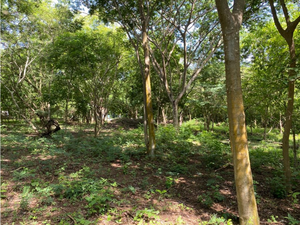 ALEROS DEL COUNTRY LOTE EN VENTA EN ZONA NORTE CARTAGENA DE INDIAS — foto 5