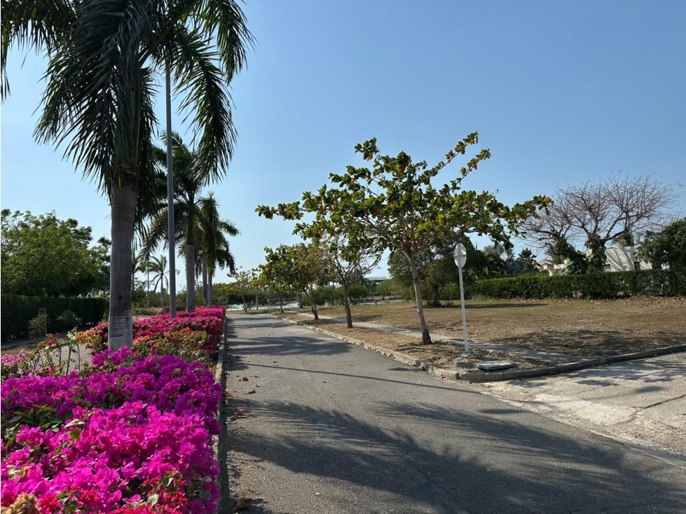LOTE EN VENTA VIA AL MAR EN CARTAGENA DE INDIAS — foto 6