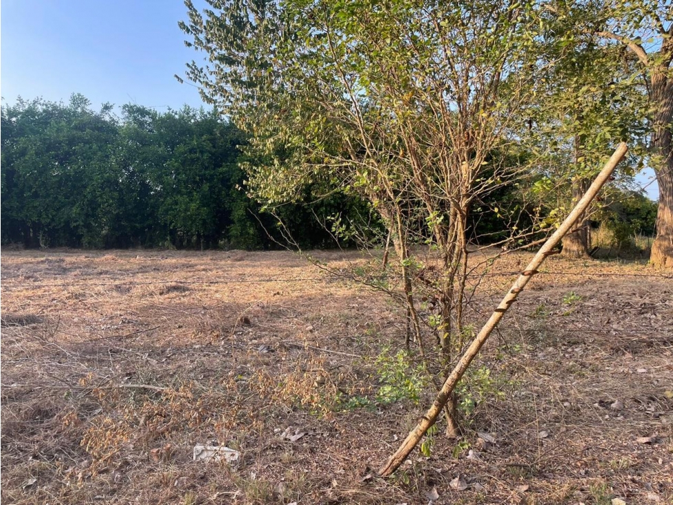 LOTE EN VENTA- ARJONA CARTAGENA DE INDIAS — foto 6
