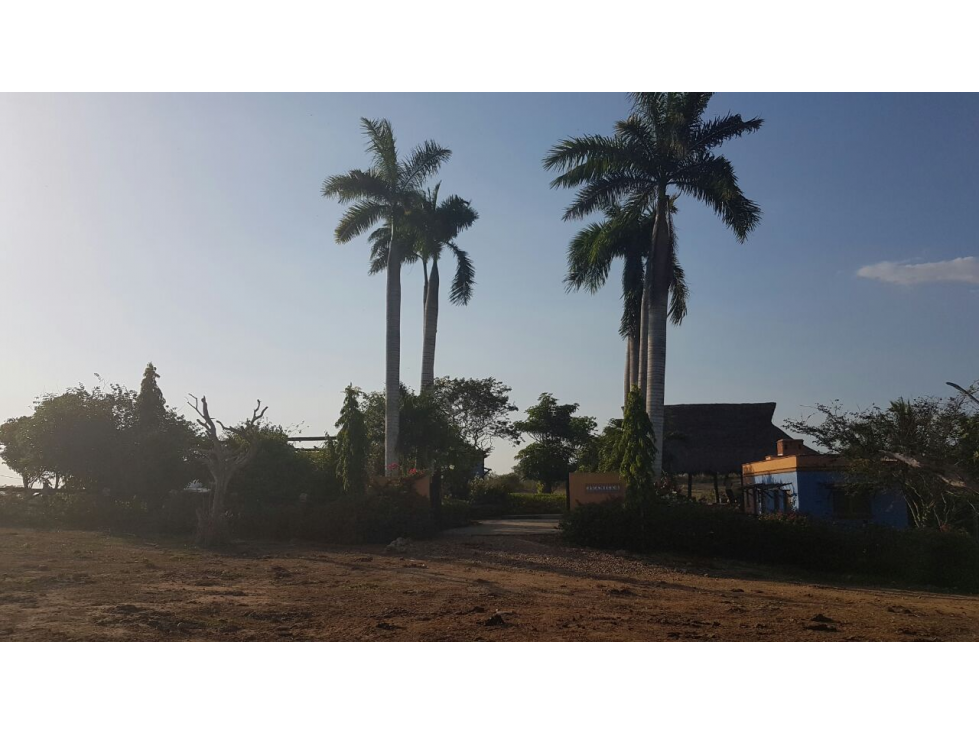 VENTA FINCA EN LA VIA CARTAGENA MAMONAL - 5