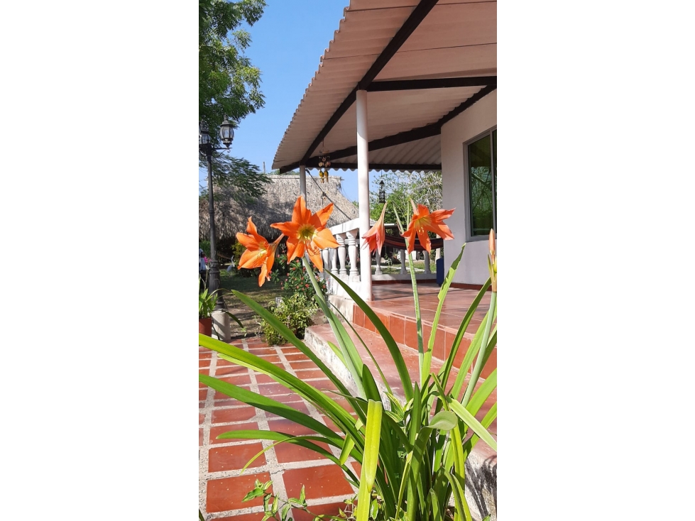 TURBACO, FINCA EN VENTA - CARTAGENA DE INDIAS - TURBACO - 2