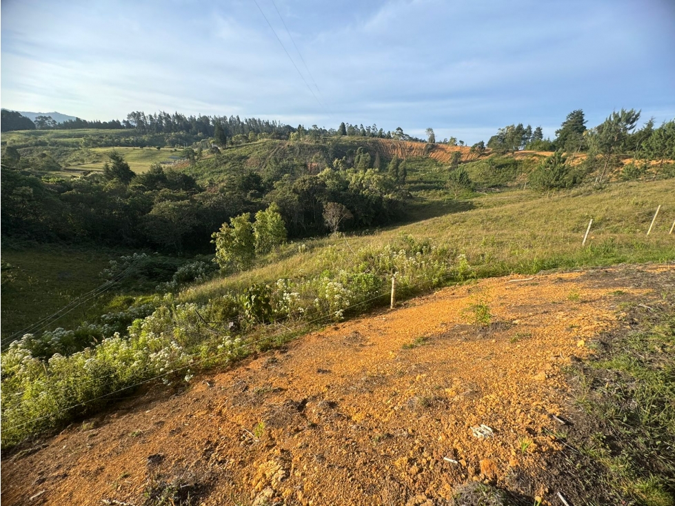 Vendo Lote en Piedras Blancas, Guarne — foto 4