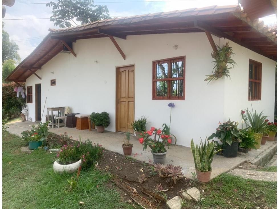 Vendo Lote-Finca en Vereda Mampuesto, Rionegro — foto 2