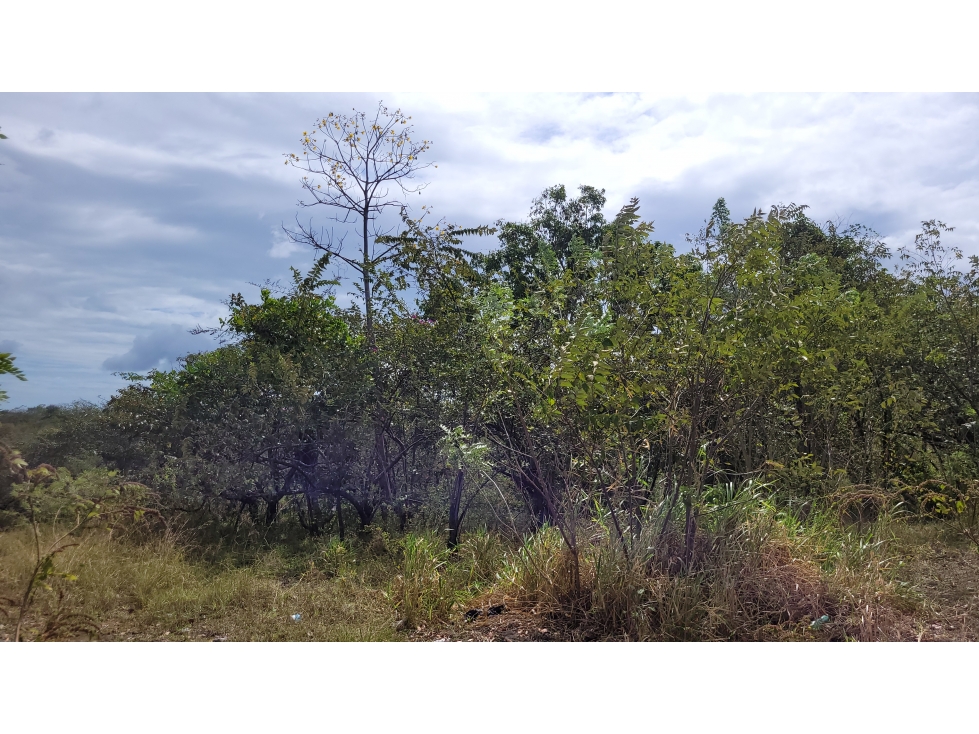 Lote en las lajas, para proyecto residencial o vacacional — foto 3