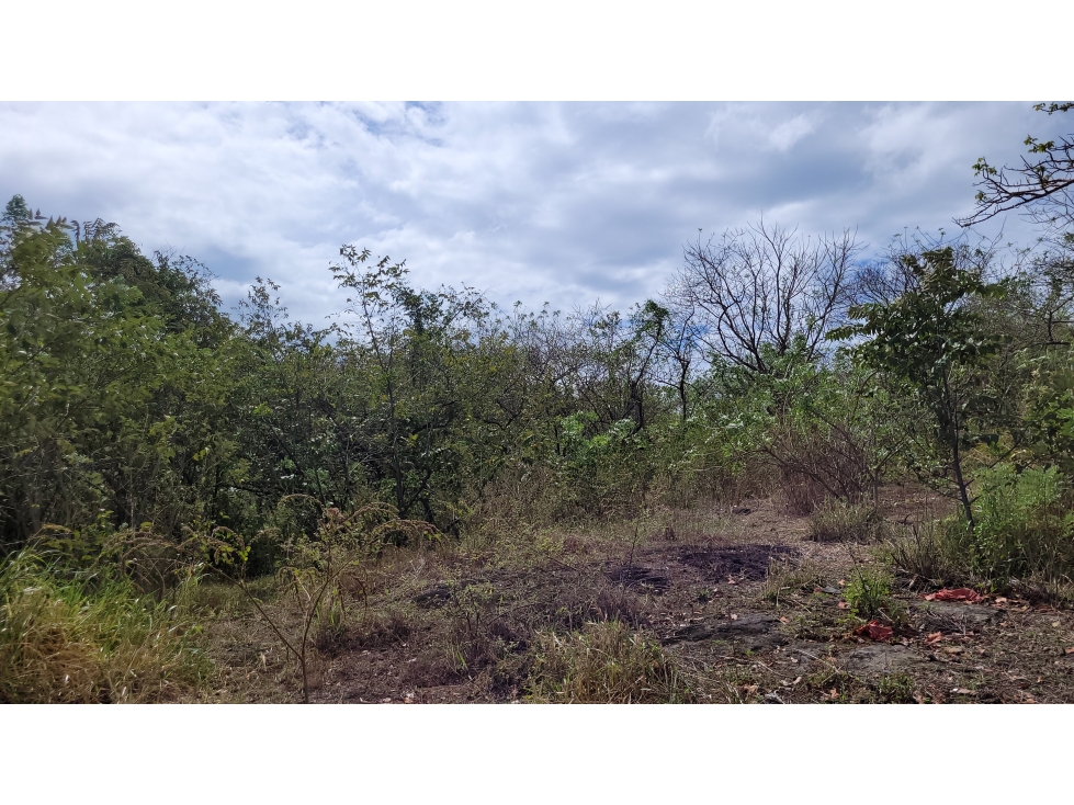 Lote en las lajas, para proyecto residencial o vacacional — foto 4