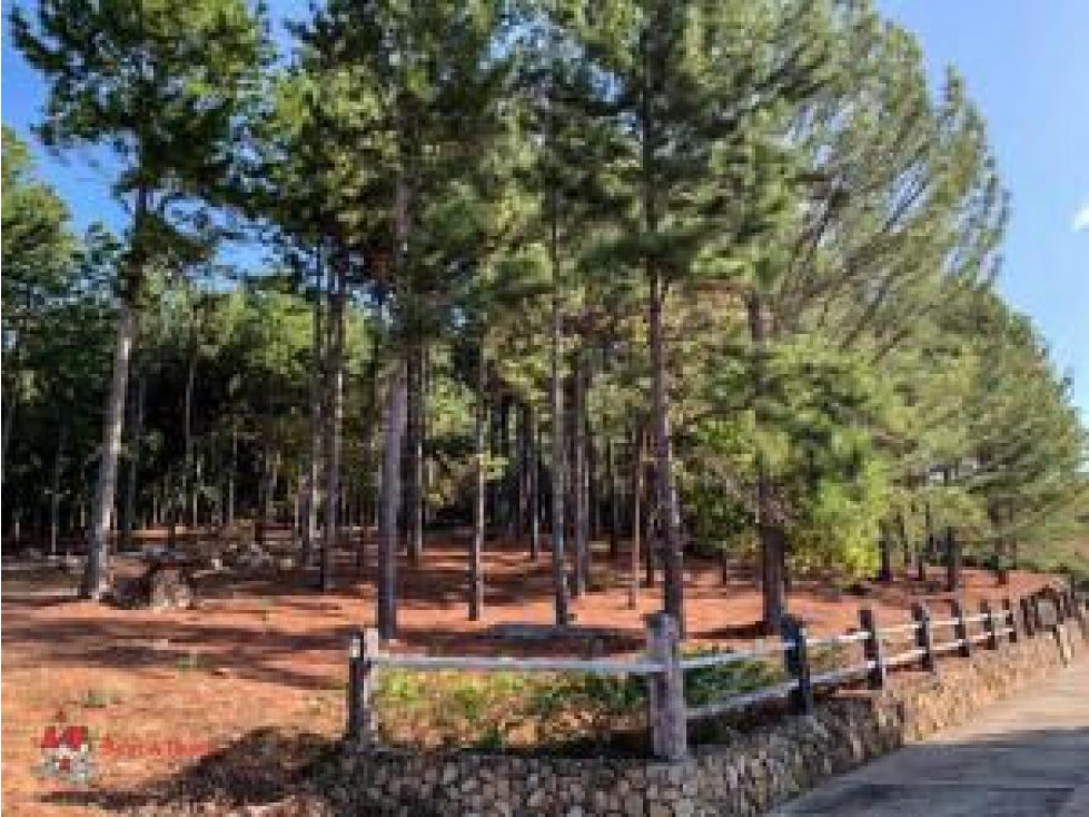 Venta de Finca en Rancho Santa Fe con garita de seguridad — foto 5