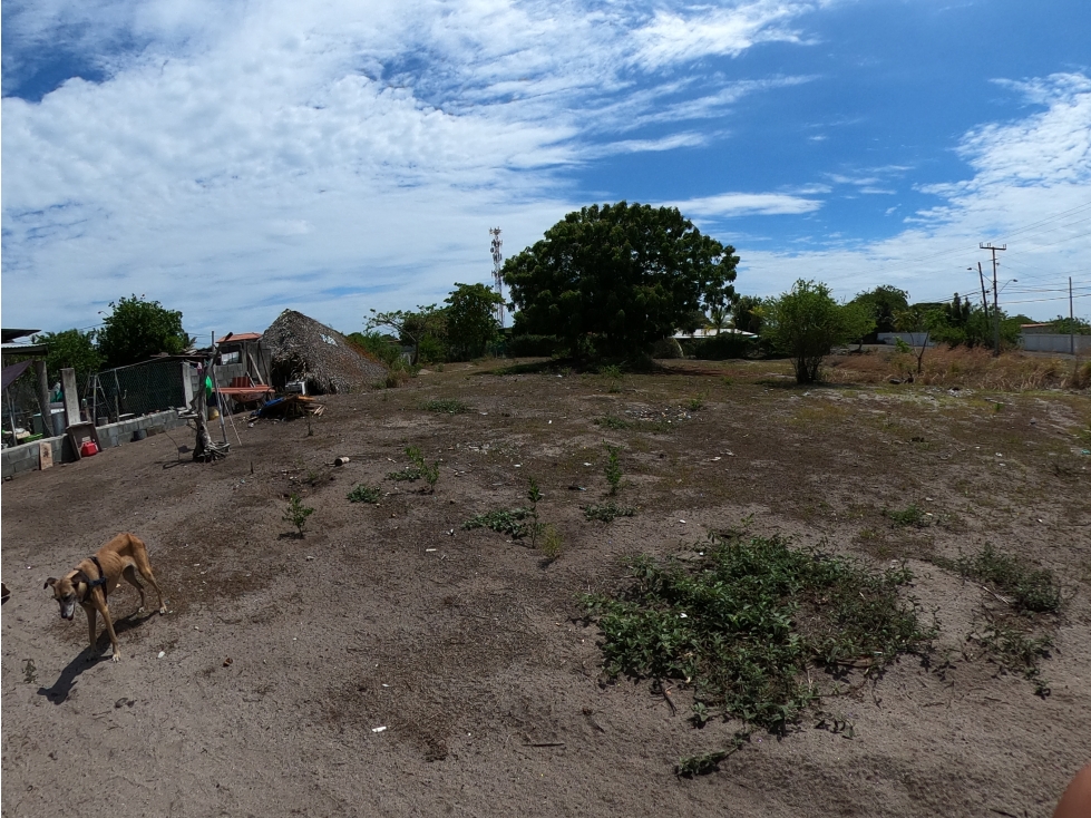 vendo Terreno de Playa en Punta Chame Sobre avenida principal Remate — foto 5