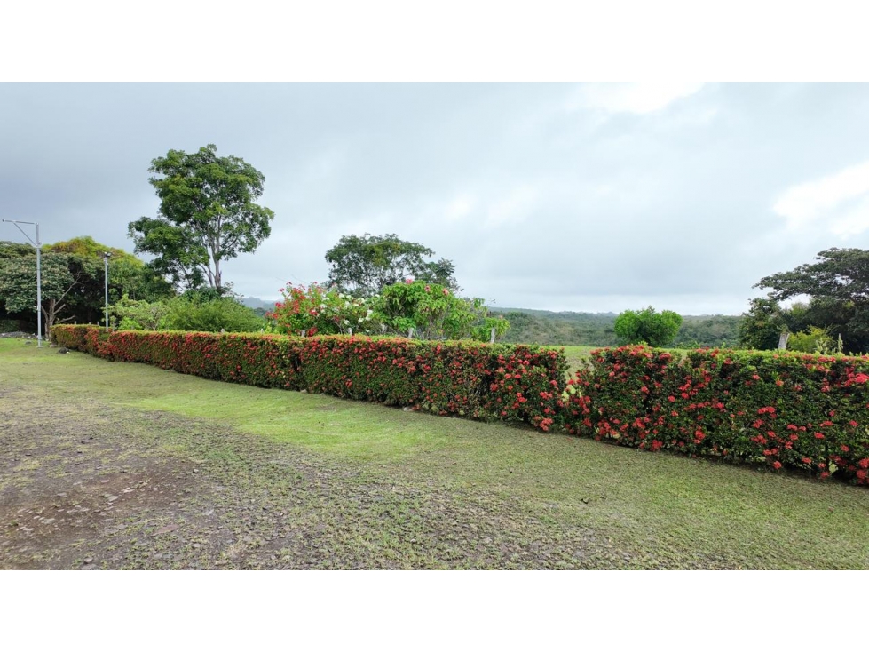 Venta de terreno en el Copecito San Carlos