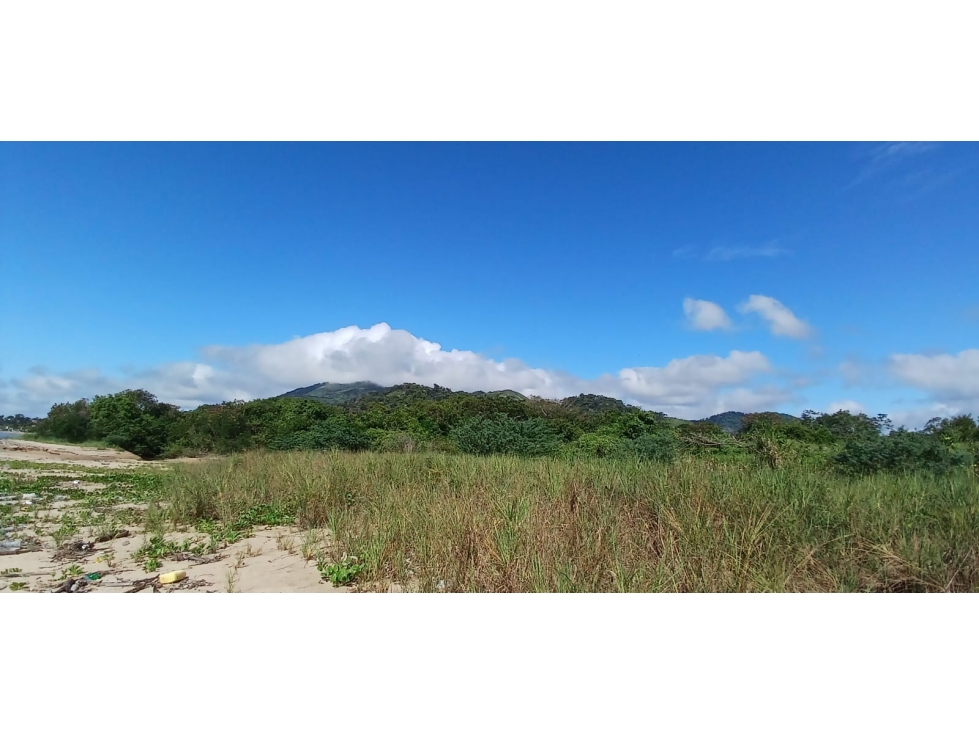 Venta terreno carretera a Veracruz frente al mar — foto 6