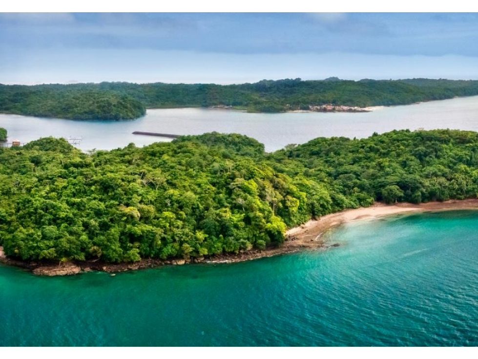 Se Vende Terreno en Pearl Island - Isla Pedro Miguel González - 3