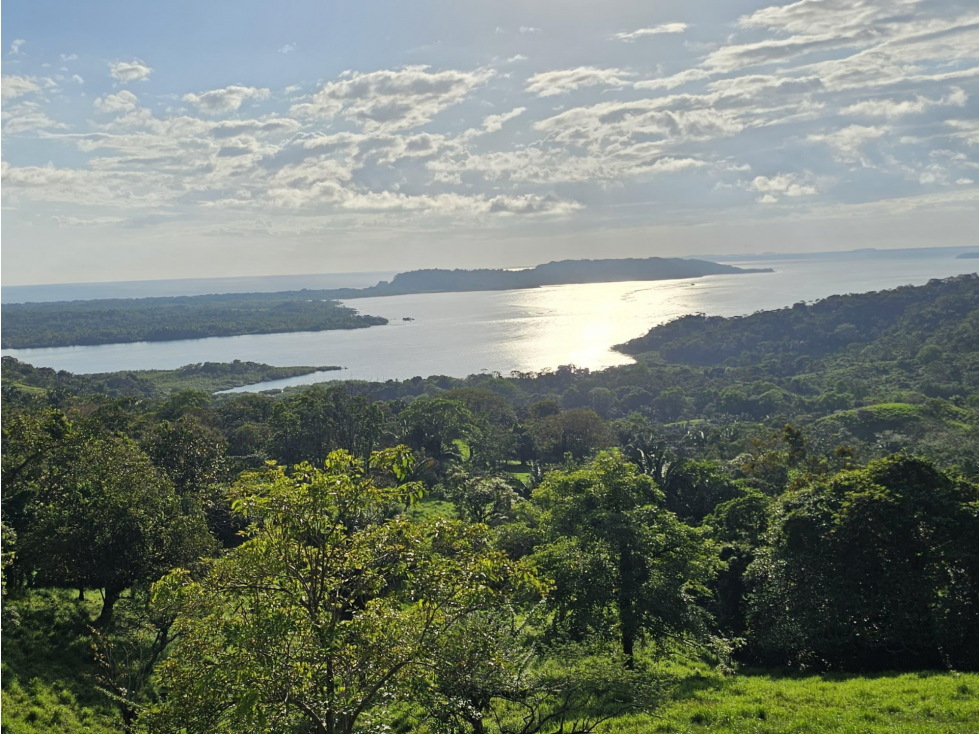Se Vende Terreno Ideal para Desarrollo Turístico en Chiriqui - 3