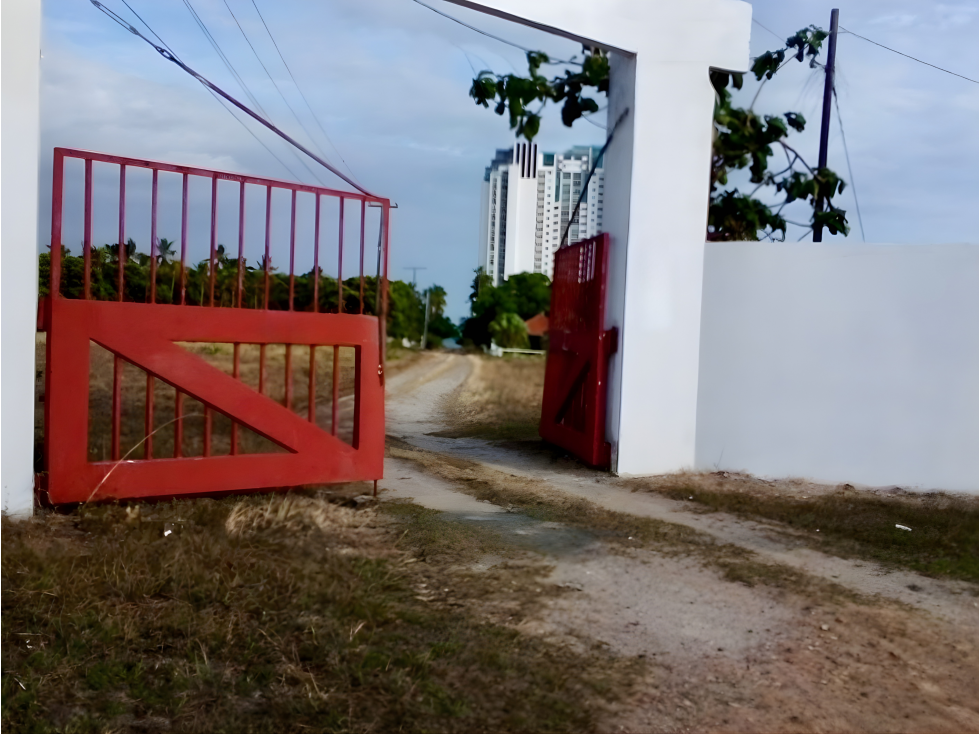 Se Vende Terreno con Frente de Mar en la Riviera Pacífica, Río Hato - 2