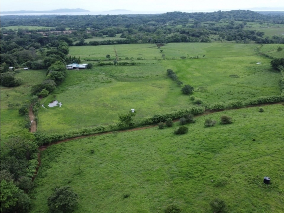 Oportunidad Agroindustrial: Finca Ganadera Operativa Leche Grado A - 1