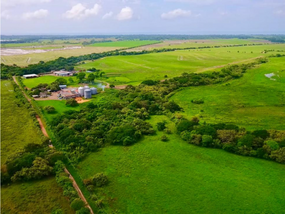 Se Vende Finca Arrocera Operativa en Antón - 1