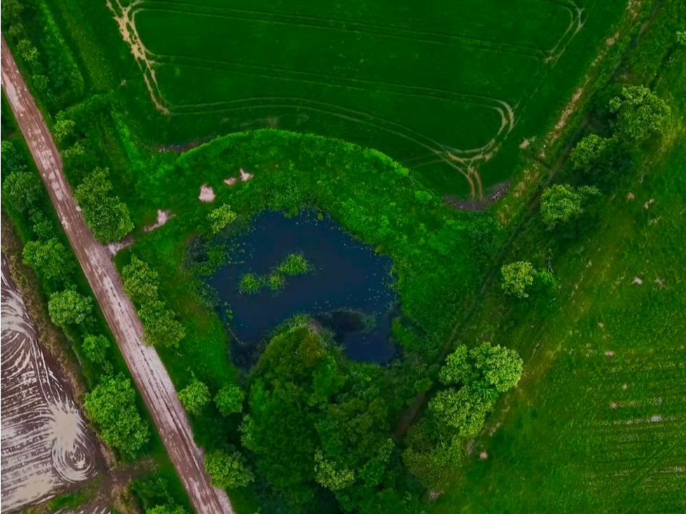 Se Vende Finca Arrocera Operativa en Antón - 5
