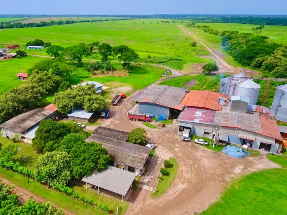 Se Vende Finca Arrocera Operativa en Antón - 3