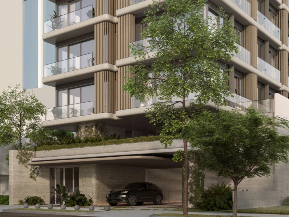 Paly by Wynwood House