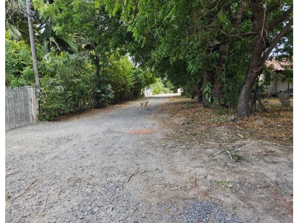 Vendo lote que colinda con el campo de golf del Hotel Coronado Golf — foto 6