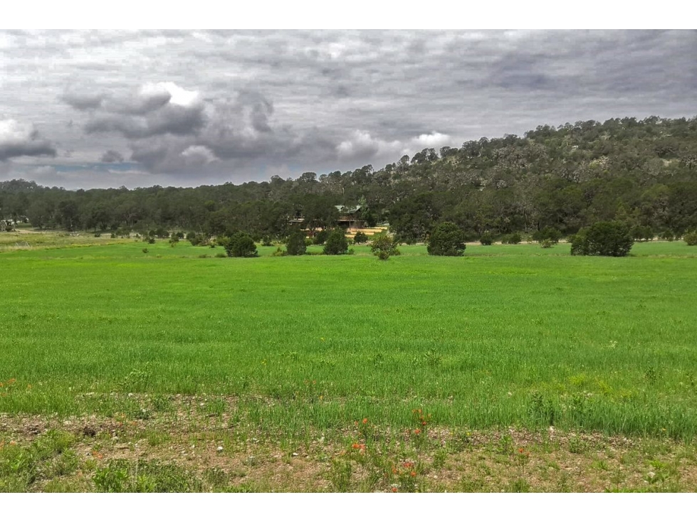 Terreno campestre en VENTA en Sierra Escondida RTV508222 - 2