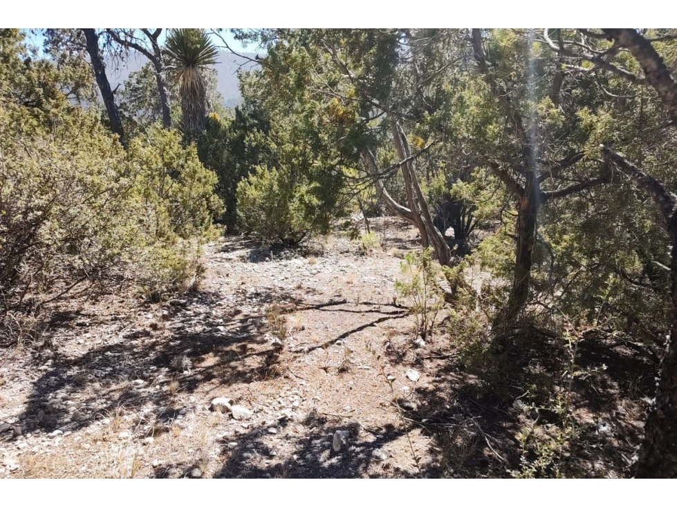 Terreno Campestre en VENTA en San Antonio de las Alazanas RTV562677 - 1
