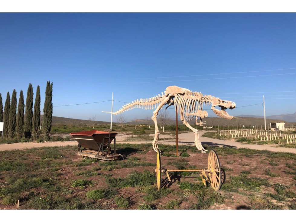 Venta de terrenos campestres en Sierto RTV599998 - 2