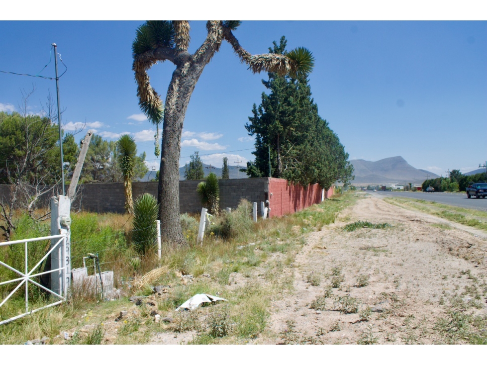 Terreno RENTA sobre Carretera Saltillo Zacatecas ITR611130