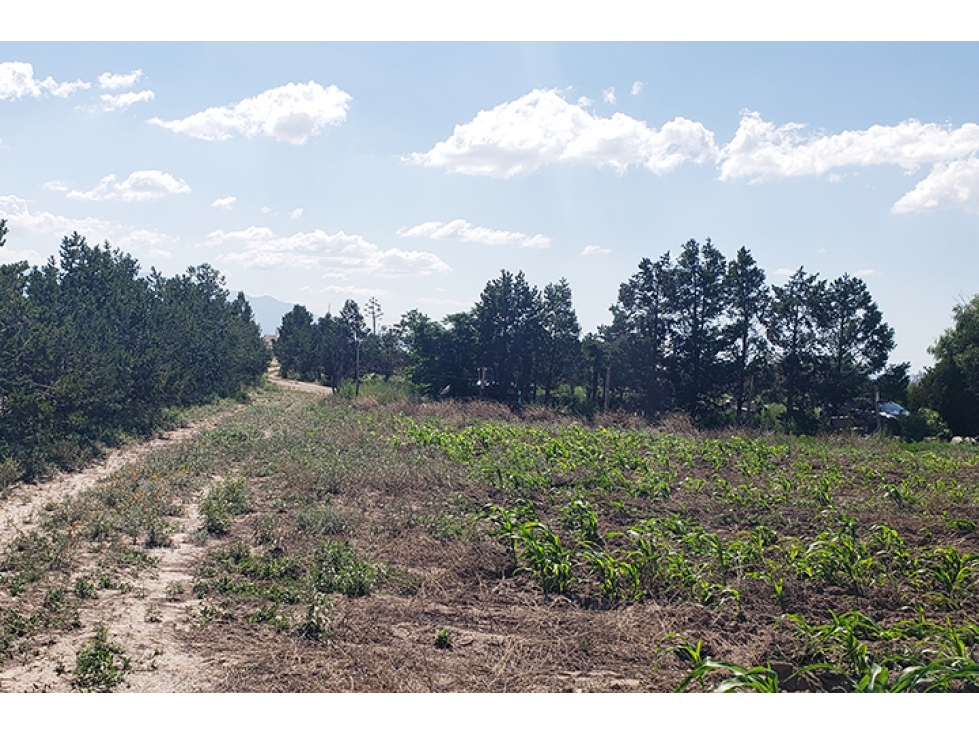 Terreno Industrial en VENTA en Agua Nueva ITV615432 - 1