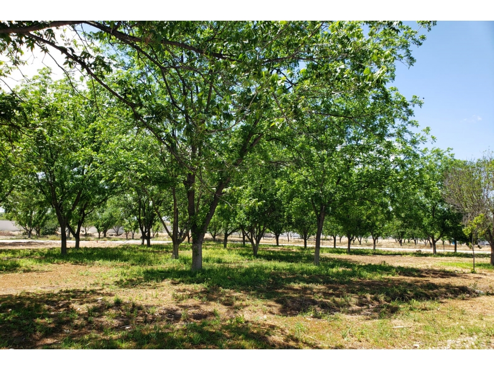 Terreno en VENTA en Residencial La Joya II RTV656640